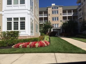 4 Great Elements to Add to Your Commercial Landscaping