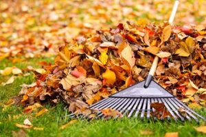 How to Rake Your Leaves More Quickly 