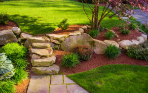 5 Ideas for Your New Backyard Landscape
