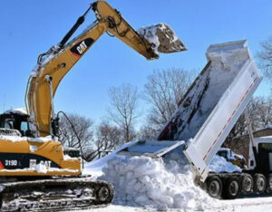 Why Hire Snow Removal Services?