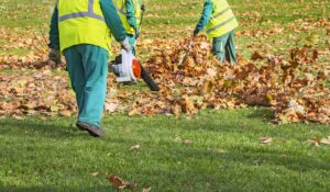 atlantic maintenance group Best Leaf Removal Services in Glen Burnie